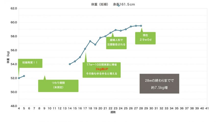 妊娠してからの体重増加とその原因〜わたしの体験記〜